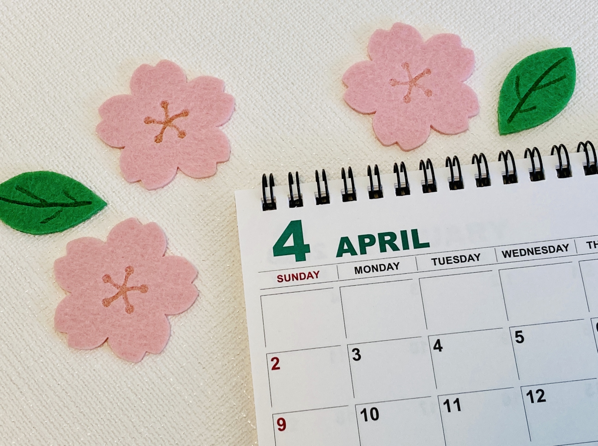 新学期には歯科健診の予定を